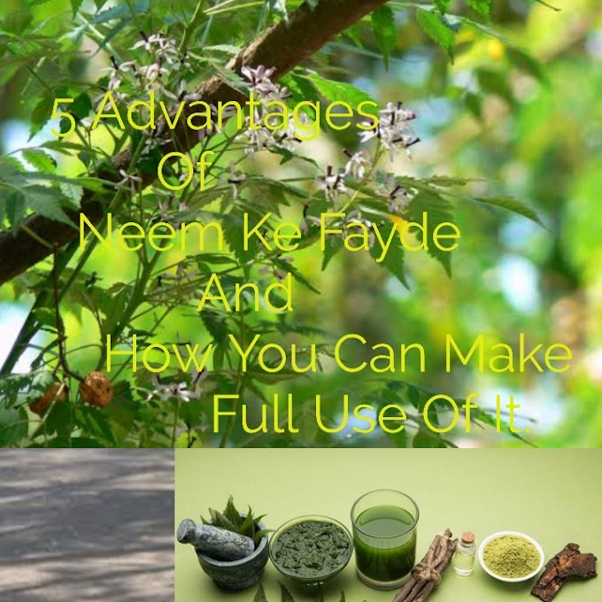 5 Advantages Of Neem Ke Fayde And How You Can Make Full Use Of It.