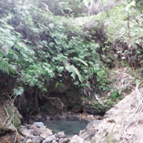 View album