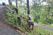 Tanaman Rumput Vetiver untuk Mitigasi Bencana Tanah Longsor dan Abrasi, berikut berbagai manfaatnya 