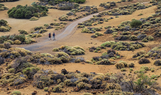 Park Narodowy Teide