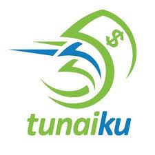 Tunaiku kredit online