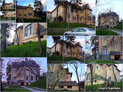 Palatul Copiilor din Targu Mures