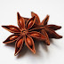 Medicinal uses of Star Anise