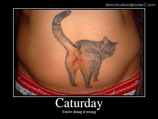 cat tattoo on belly. Cat tattoo on stomach