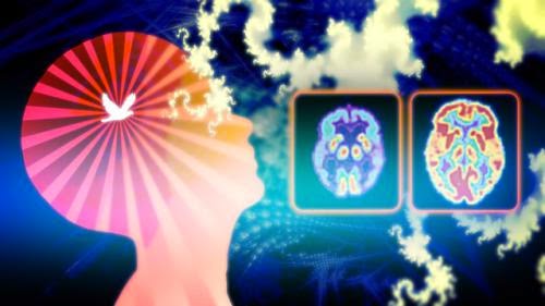 What Happens To The Brain When You Meditate And How It Benefits You