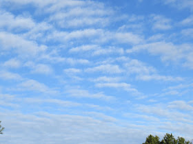 Stratocumulus undulatus clouds