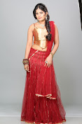 Rithika sizzling portfolio photos-thumbnail-5