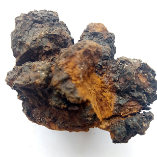 Finnish Chaga