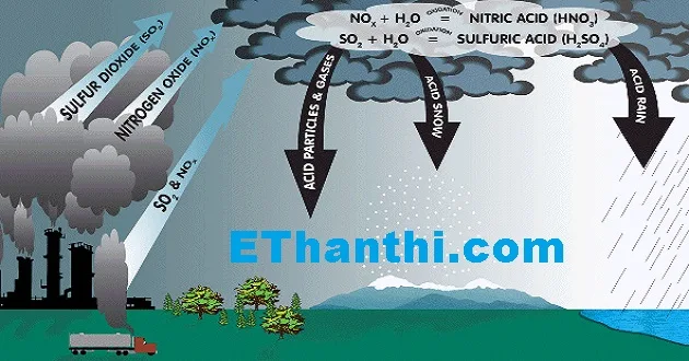 அமில மழை ஏற்படுத்தும் பாதிப்பு என்ன?