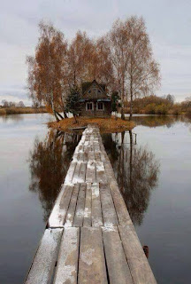 Rumah terbiar di tepi tasik yang telah didiami oleh binatang liar di Finland