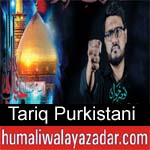 https://www.humaliwalyazadar.com/2018/09/tariq-purkistani-nohay-2019.html