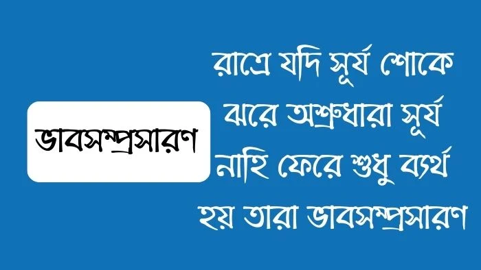 রাত্রে যদি সূর্য শোকে ঝরে অশ্রুধারা সূর্য নাহি ফেরে শুধু ব্যর্থ হয় তারা ভাবসম্প্রসারণ