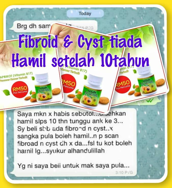 Herba & Kesihatan: Apa itu Ovarian Cyst , Kesan , Dan 