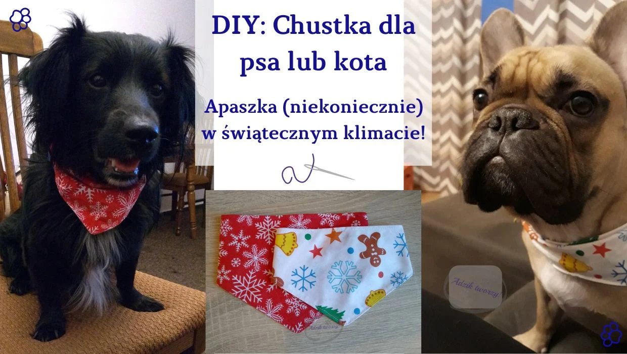 DIY Chustka dla psa lub kota jak uszyć - blog DIY Adzik tworzy