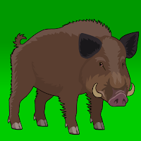 Play Games2Jolly Desert Warthog Escape