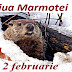 2 februarie: Ziua Marmotei