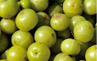 Indian gooseberry