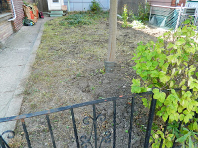 Little Italy Fall Front Garden Cleanup After by Paul Jung Gardening Services--a Toronto Organic Gardener