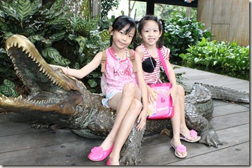 AIMG_0455
