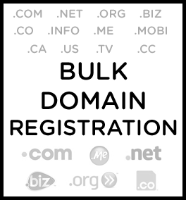 Bulk Domain Name Registration