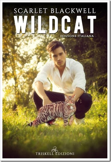 Wildcat