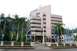 Bank Papua Posts Rp311.07 Billion Profit in 2012