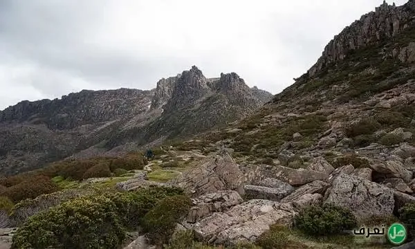 اعلى جبل في استراليا