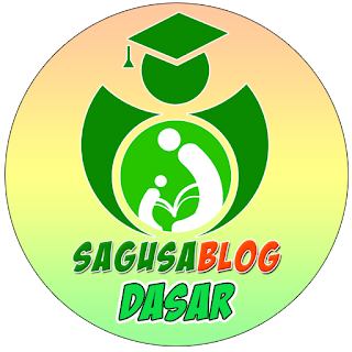 Workshop online Sagusablog IGI