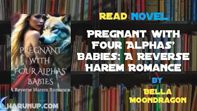 Pregnant with Four Alphas' Babies: A Reverse Harem Romance Novel