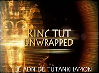 El adn de  Tutankhamon: 2-Sangre Real