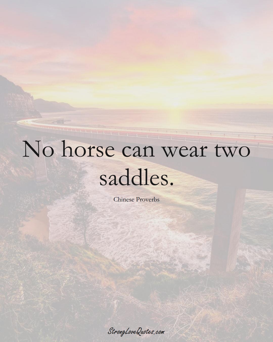 No horse can wear two saddles. (Chinese Sayings);  #AsianSayings