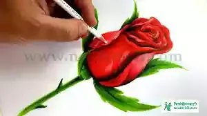 Flower picture drawing - flower picture - flower pic 2023 picture - flower picture download - different flower pictures - fuller chobi - NeotericIT.com - Image no 5