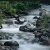 3 Drowned Sisters Recovered in Bauchi