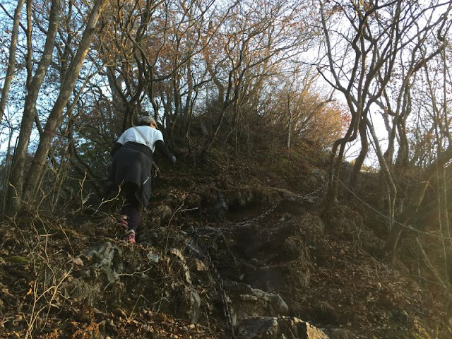 稲含山の鎖場