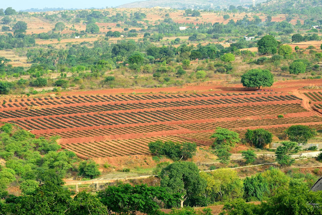 Cauvery Melagiri Hills Kenneth Anderson Eastern Ghats Western Ghats