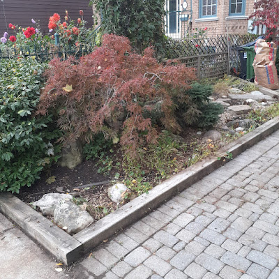 Toronto Fall Cleanup After by Paul Jung Gardening Services--a Toronto Ecological Gardener