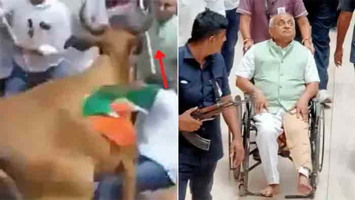 Gujarat: Former Deputy CM Nitin Patel injured by cattle during Tiranga rally, Ahmedabad, News, Rally, Independence-Day, Attack, Hospital, Treatment, National