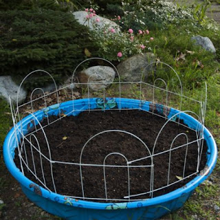 DIY Kiddie Pool Garden