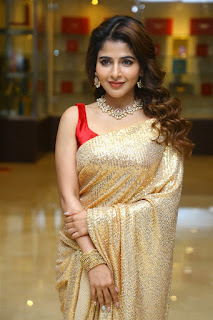 Actress Iswarya Menon Saree Stills at Spy Movie Pre release