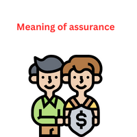 What assurance means? | What is the role of assurance?