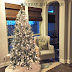 Our Christmas Tree
