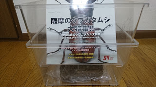 産卵木の加水要領