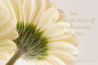 https://www.etsy.com/listing/128025210/bogo-half-off-10x10-or-10x15-photography?ref=shop_home_active_3