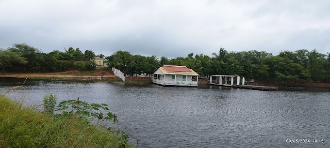 Prosas & Versos : O verde da terra molhada no meu Sertão do Araripe