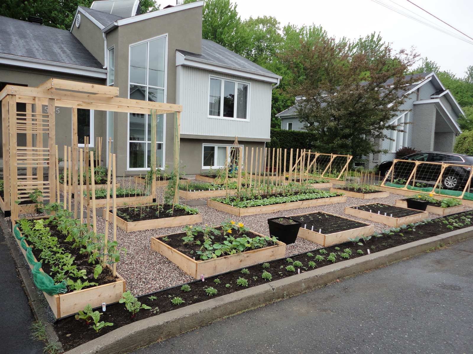 Le potager  urbain Potager  en photos et vid os