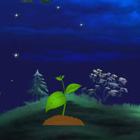 Play WOW Night Forest Owl Escape 