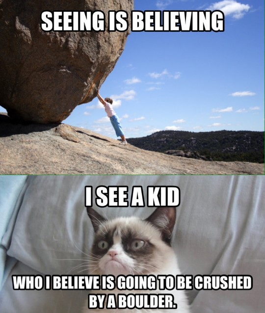 Grumpy Cat Memes