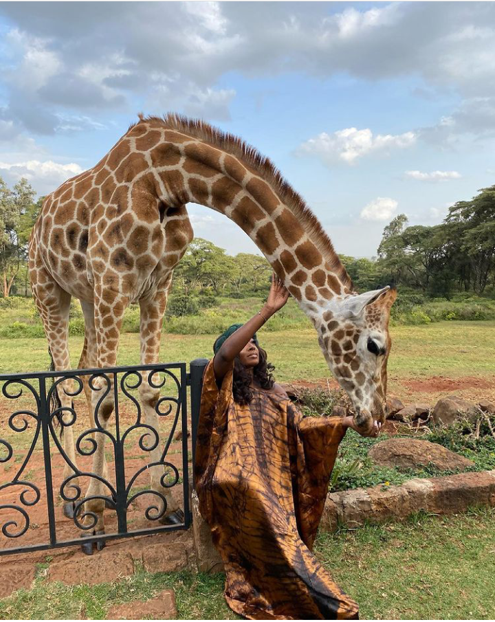 Check Out Lovely Pictures of BBNaija Tolanibaj, Prince And Dorathy Spending Time With Giraffes