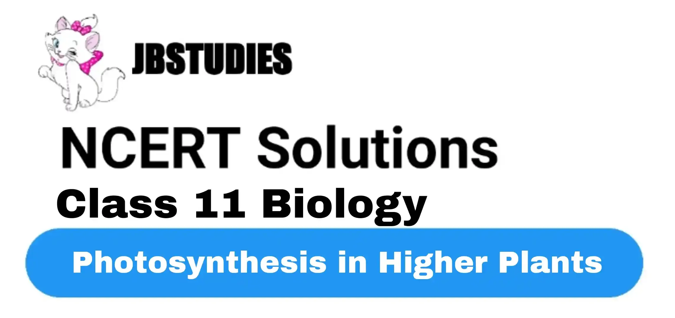 Solutions Class 11 Biology Chapter -13 (Photosynthesis in Higher Plants)