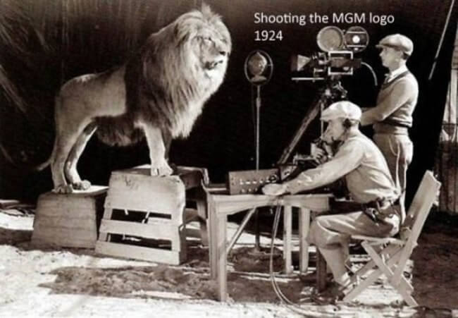 60 Iconic Behind-The-Scenes Pictures Of Actors That Underline The Difference Between Movies And Reality - This one is unbelievable; it is the shooting of the original MGM logo shot from 1924.